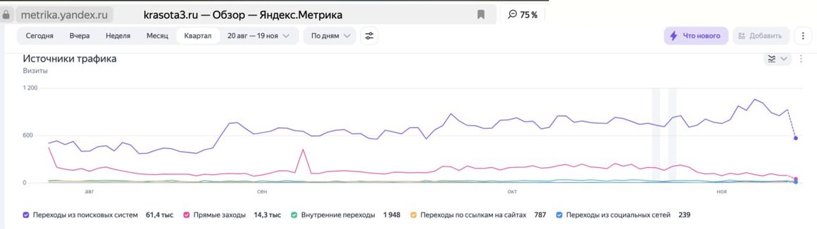 Метрика krasota3.ru: источники трафика за квартал, 61,4 тысячи визитов из поиска