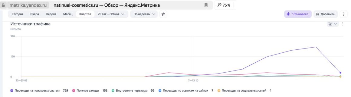 Метрика natinuel-cosmetics.ru: рост с нуля до 729 визитов из поиска за квартал